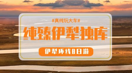 【纯臻伊犁独库】8 日 A 线巴音版